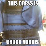 Dress Color | THIS DRESS IS CHUCK NORRIS | image tagged in dress color | made w/ Imgflip meme maker