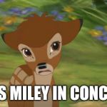 BUT WHY | *SEES MILEY IN CONCERT* | image tagged in but why | made w/ Imgflip meme maker