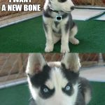 Insanity Puppy Meme | I WANT A NEW BONE YOUR FEMUR WILL DO | image tagged in memes,insanity puppy | made w/ Imgflip meme maker