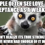 Love is maturity of the soul. Someone can express love, but still be a great fighter, but why fight? | PEOPLE OFTEN SEE LOVE AND ACCEPTANCE AS A WEAKNESS THEY DON'T REALIZE ITS TRUE STRENGTH. THEY MIGHT HAVE NEVER HAD ENOUGH OF IT IN THEIR LIF | image tagged in above static lemur | made w/ Imgflip meme maker