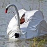 Goose disguise