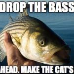 nonotthatbass | DROP THE BASS GO AHEAD. MAKE THE CAT'S DAY. | image tagged in nonotthatbass | made w/ Imgflip meme maker