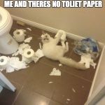 naughty kitty | THINK ABOUT WHAT YOUR DOING NEXT TIME YOU "FORGET" TO FEED ME AND THERES NO TOLIET PAPER | image tagged in naughty kitty | made w/ Imgflip meme maker