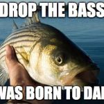 nonotthatbass | DROP THE BASS IT WAS BORN TO DANCE | image tagged in nonotthatbass | made w/ Imgflip meme maker