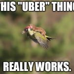 Hummbingbird | THIS "UBER" THING REALLY WORKS. | image tagged in hummbingbird | made w/ Imgflip meme maker