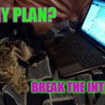 Kookie Cat UK | MY PLAN? BREAK THE INTERNET! | image tagged in crying because of cute,cat,kitten,geek,kookie cat uk internet | made w/ Imgflip meme maker