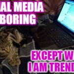 Kookie Cat UK | SOCIAL MEDIA IS BORING EXCEPT WHEN I AM TRENDING! | image tagged in geek,social media,cat,kookie cat uk internet | made w/ Imgflip meme maker