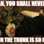 Kookie Cat UK | HUMAN, YOU SHALL NEVER DIET JUNK IN THE TRUNK IS SO COMFY | image tagged in kookie cat uk,cat,cute,kitten,diet,woman | made w/ Imgflip meme maker