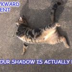 Kookie Cat UK | THAT AWKWARD MOMENT WHEN YOUR SHADOW IS ACTUALLY BATMAN | image tagged in kookie cat uk,geek,cat,batman | made w/ Imgflip meme maker