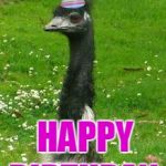 emu | HAPPY BIRTHDAY | image tagged in emu | made w/ Imgflip meme maker