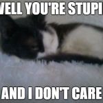 The "I don't care" cat with the death glare | WELL YOU'RE STUPID AND I DON'T CARE | image tagged in cats,i don't care,death stare | made w/ Imgflip meme maker