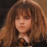 Harry Potter - Miss Granger is NOT amused meme