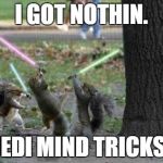 Jedi Squirrels | I GOT NOTHIN. JEDI MIND TRICKS. | image tagged in jedi squirrels | made w/ Imgflip meme maker