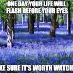 Purple flowers | ONE DAY YOUR LIFE WILL FLASH BEFORE YOUR EYES MAKE SURE IT'S WORTH WATCHING | image tagged in purple flowers | made w/ Imgflip meme maker