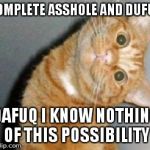 Cat has a question | COMPLETE ASSHOLE AND DUFUS DAFUQ I KNOW NOTHING OF THIS POSSIBILITY | image tagged in cat has a question | made w/ Imgflip meme maker