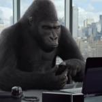 Office Gorilla meme