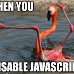 Flamingo Fail | WHEN YOU DISABLE JAVASCRIPT | image tagged in flamingo fail | made w/ Imgflip meme maker