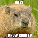 Chuck the WoodChuck | GUYS I KNOW KUNG FU | image tagged in woodchuckpun,kung fu,chuck,funny,memes,funny memes | made w/ Imgflip meme maker