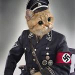 Nazi Cat meme
