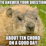 You had to ask! | TO ANSWER YOUR QUESTION ABOUT TEN CHORD ON A GOOD DAY | image tagged in woodchuckpun | made w/ Imgflip meme maker