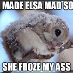 Frozen squirrel | I MADE ELSA MAD SO SHE FROZE MY ASS | image tagged in frozen squirrel | made w/ Imgflip meme maker