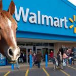 Walmart Horse