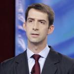 Tom Cotton Guilty