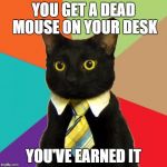 Thank you! :3 | YOU GET A DEAD MOUSE ON YOUR DESK YOU'VE EARNED IT | image tagged in memes,business cat,cats,mouse,promotion | made w/ Imgflip meme maker