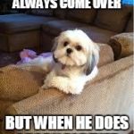 the most interesting dog in the world | THE MAILMAN DOESNT ALWAYS COME OVER BUT WHEN HE DOES I BARK FOREVER | image tagged in the most interesting dog in the world | made w/ Imgflip meme maker