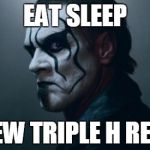Sting WWE | EAT SLEEP SCREW TRIPLE H REPEAT | image tagged in sting wwe | made w/ Imgflip meme maker