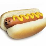 doge hot doge meme