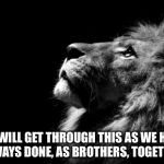 sad lion | WE WILL GET THROUGH THIS AS WE HAVE ALWAYS DONE, AS BROTHERS, TOGETHER. | image tagged in sad lion | made w/ Imgflip meme maker