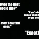 I was a little skeptical about posting this, but I think a lot of us can relate... | "Why do the best people die?" "If you're in a garden, which flowers do you pick?" "The most beautiful ones." "Exactly." | image tagged in black background | made w/ Imgflip meme maker