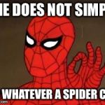 spiderman approves | ONE DOES NOT SIMPLY DO WHATEVER A SPIDER CAN | image tagged in spiderman approves | made w/ Imgflip meme maker