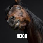 ScaryHorse | THE END IS NEIGH | image tagged in scaryhorse | made w/ Imgflip meme maker