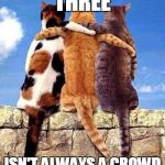 Three is not always a crowd - friendship meme | THREE ISN'T ALWAYS A CROWD | image tagged in friendhsips threes a crowd cute cats kittens friends | made w/ Imgflip meme maker