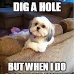 the most interesting dog in the world | I DONT ALWAYS DIG A HOLE BUT WHEN I DO I CANT GO INSIDE | image tagged in the most interesting dog in the world | made w/ Imgflip meme maker