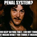 PENAL SYSTEM? YOU KEEP SAYING THAT. I DO NOT THINK IT MEANS WHAT YOU THINK IT MEANS. | image tagged in inigo montoya,i don't think it means what you think it means | made w/ Imgflip meme maker
