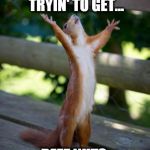 friday_squirrel | SHE WAS JUST TRYIN' TO GET... DEEZ NUTS. | image tagged in friday_squirrel | made w/ Imgflip meme maker