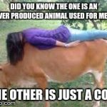 Did You Know | DID YOU KNOW THE ONE IS AN OVER PRODUCED ANIMAL USED FOR MEAT THE OTHER IS JUST A COW | image tagged in did you know | made w/ Imgflip meme maker