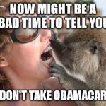 I see many cavities | NOW MIGHT BE A BAD TIME TO TELL YOU I DON'T TAKE OBAMACARE | image tagged in i see many cavities | made w/ Imgflip meme maker