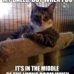 cats | I DON'T ALWAYS LICK MY BALLS. BUT WHEN I DO IT'S IN THE MIDDLE OF THE LIVING ROOM WHEN YOU'RE HAVING A PARTY! | image tagged in cats | made w/ Imgflip meme maker