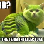 dragon cat | NERD? I PREFER THE TERMINTELLECTUAL BAD-ASS | image tagged in dragon cat | made w/ Imgflip meme maker