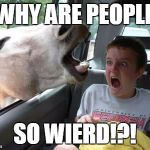 horsesass | WHY ARE PEOPLE SO WIERD!?! | image tagged in horsesass | made w/ Imgflip meme maker