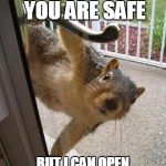 Murder Squirrel | YOU MIGHT THINK YOU ARE SAFE BUT I CAN OPEN DOORS BRUHAWHAWHAW | image tagged in squirrel,memes | made w/ Imgflip meme maker