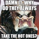 Predator | DAMN IT, WHY DO THEY ALWAYS TAKE THE HOT ONES? | image tagged in predator | made w/ Imgflip meme maker