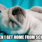Sleepy Puppy | WHEN I GET HOME FROM SCHOOL | image tagged in sleepy puppy | made w/ Imgflip meme maker