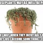Plants come to my house to die | MY HOUSEPLANTS MAY AS WELL BE PARSLEY THAT WAY WHEN THEY INEVITABLY DRY OUT THEY JUST BECOME SOMETHING I CAN USE | image tagged in dead plant | made w/ Imgflip meme maker