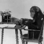 Chimpanzee on tipewriter