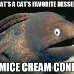WHAT'S A CAT'S FAVORITE DESSERT? MICE CREAM CONE | image tagged in bad joke eel | made w/ Imgflip meme maker